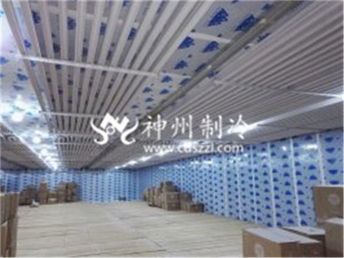 电竞娱乐怎么玩游戏的
