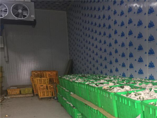 水果疏菜电竞娱乐怎么玩游戏的
要遵循哪些原则？