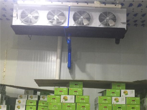 电竞娱乐怎么玩游戏的
公司