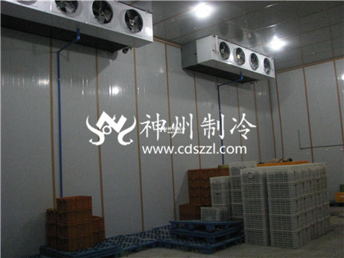 绵阳电竞娱乐怎么玩游戏的
