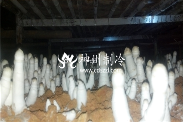 飞娱电竞娱乐中心电话客服
安装