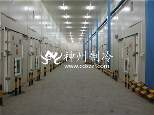 如何提高水果疏菜电竞娱乐怎么玩游戏的
的效率？